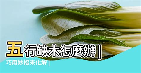 屬木缺什麼|八字命理:五行缺木怎麼辦！看看你的該怎麼化解？